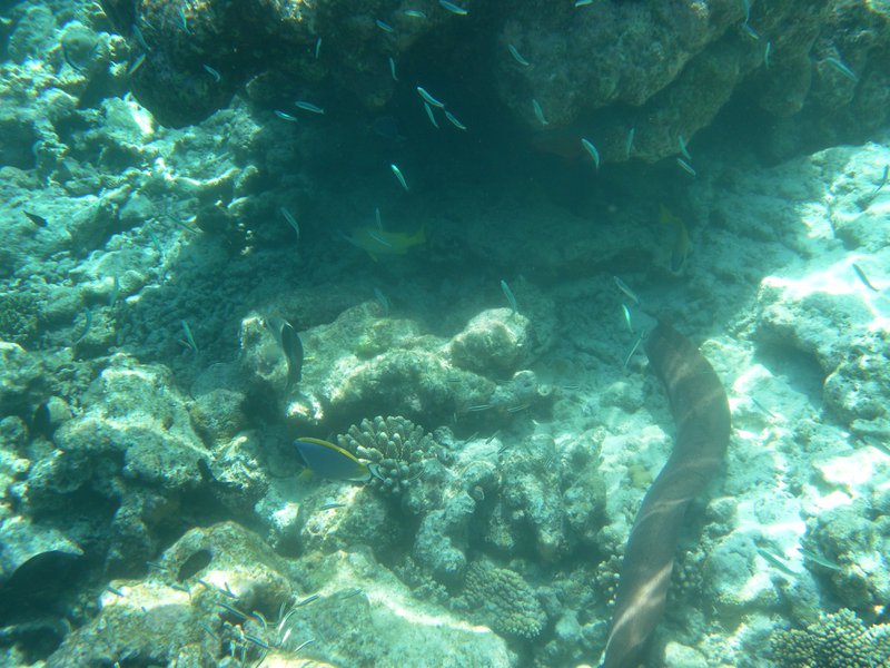Image SAM_0350.JPG