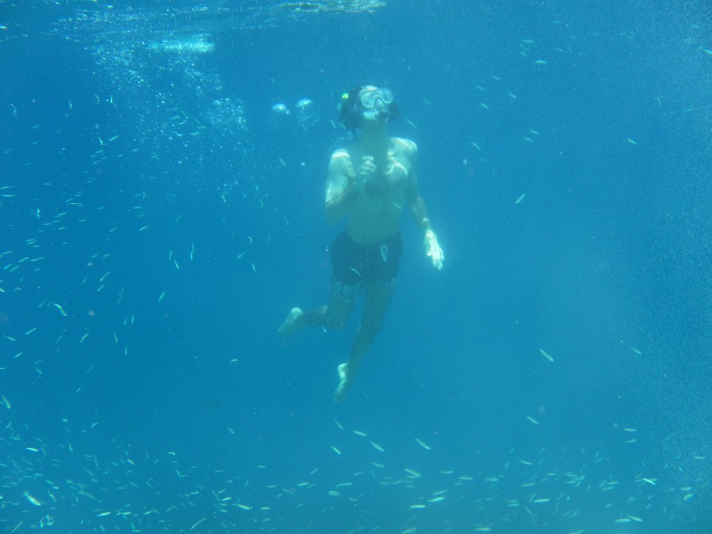Image SAM_0354.JPG