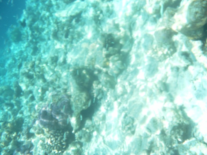 Image SAM_0357.JPG