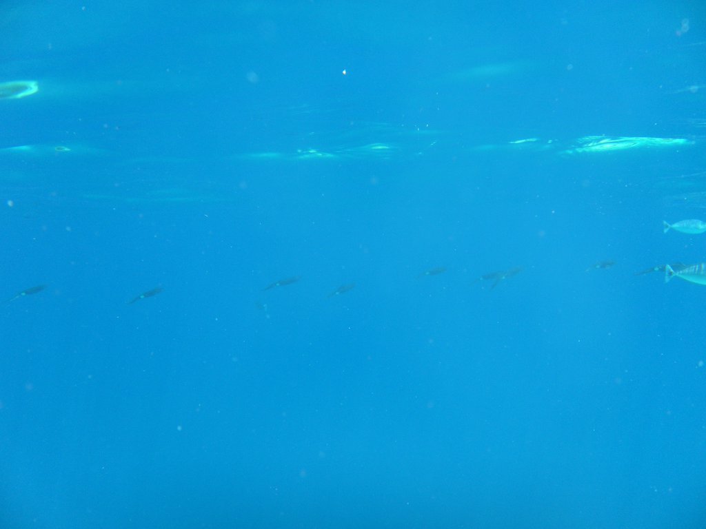 Image SAM_0358.JPG