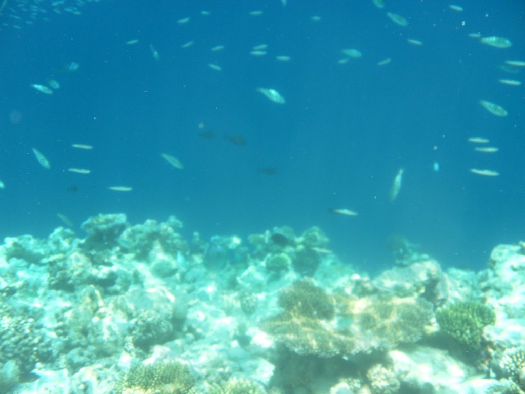 Image SAM_0360.JPG