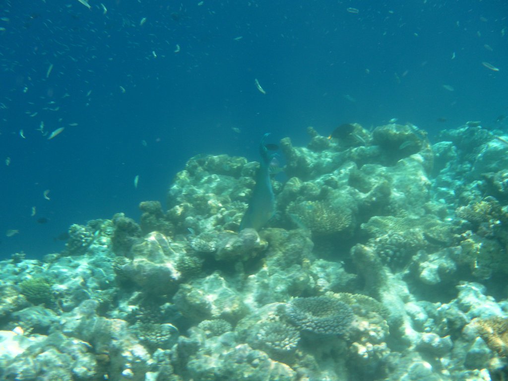 Image SAM_0361.JPG