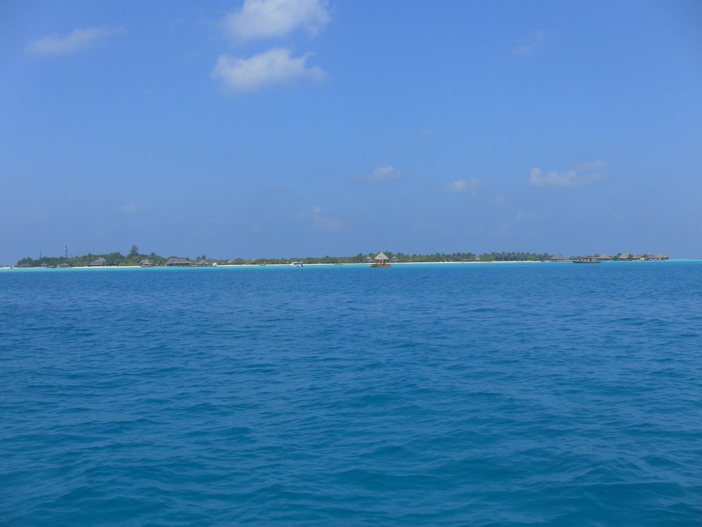 Image SAM_0366.JPG