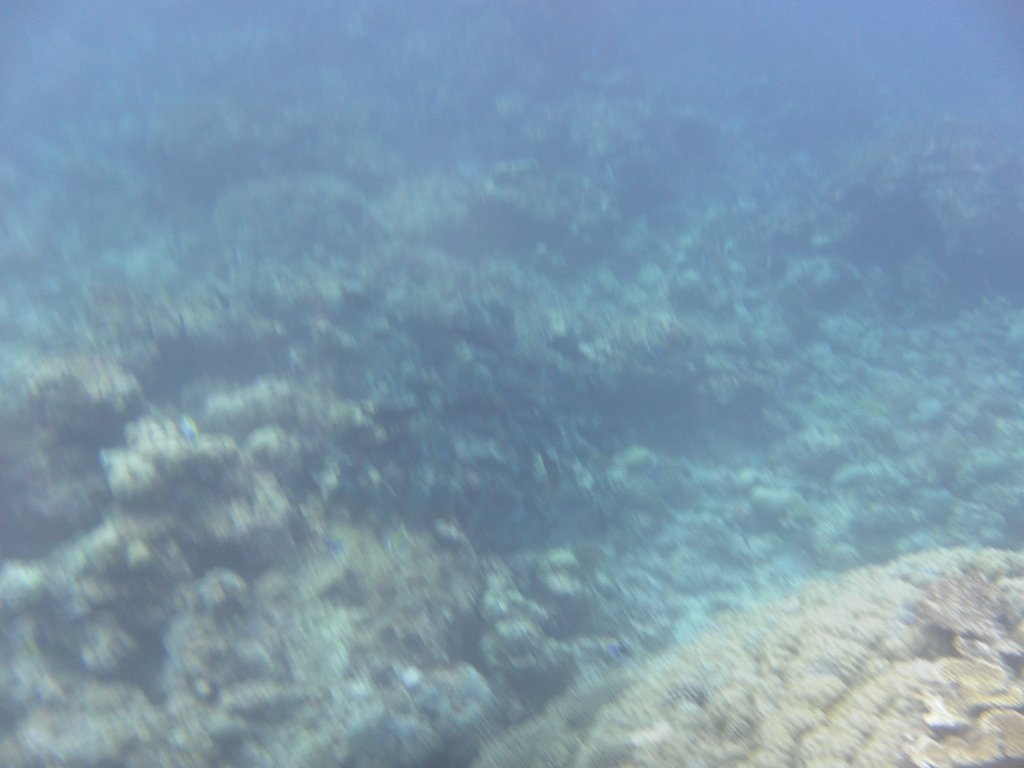 Image SAM_0370.JPG