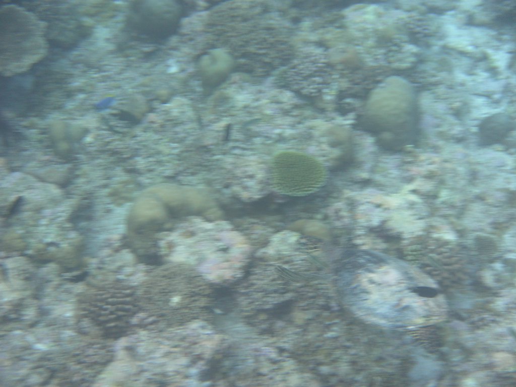 Image SAM_0374.JPG