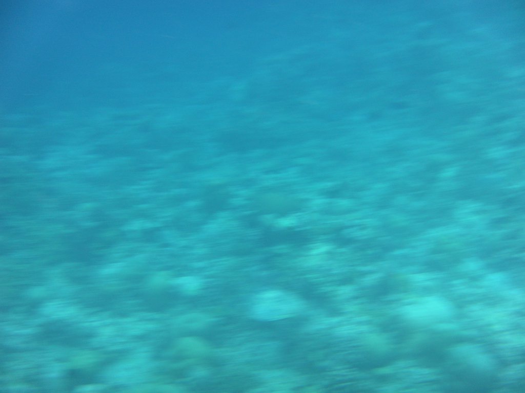 Image SAM_0375.JPG