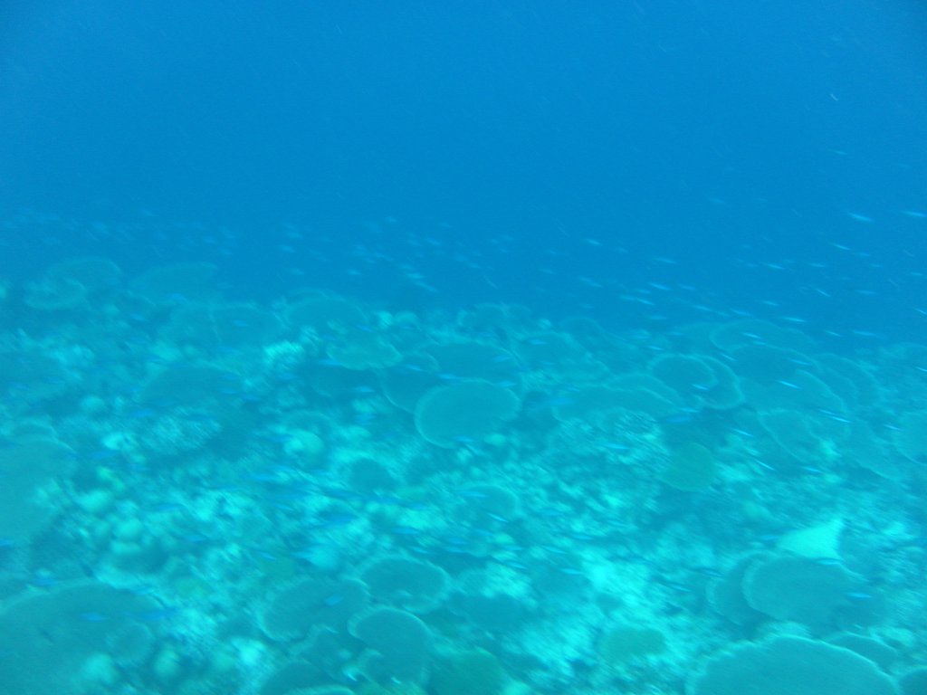Image SAM_0382.JPG