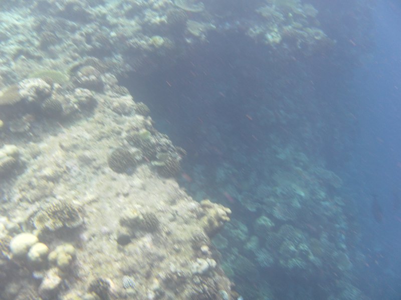 Image SAM_0383.JPG