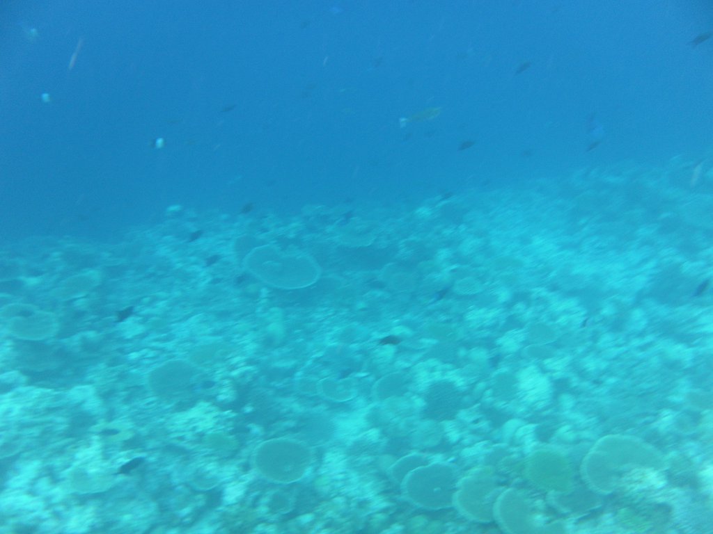 Image SAM_0391.JPG
