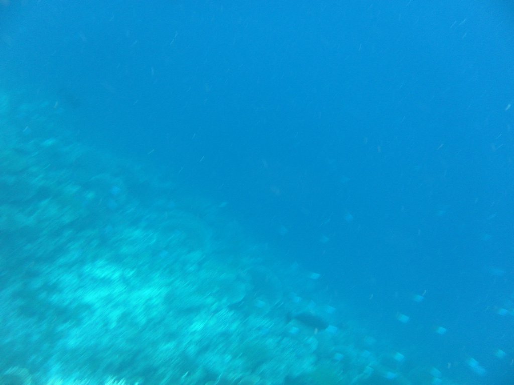 Image SAM_0392.JPG