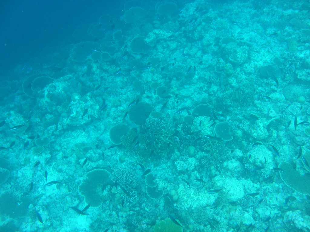 Image SAM_0397.JPG