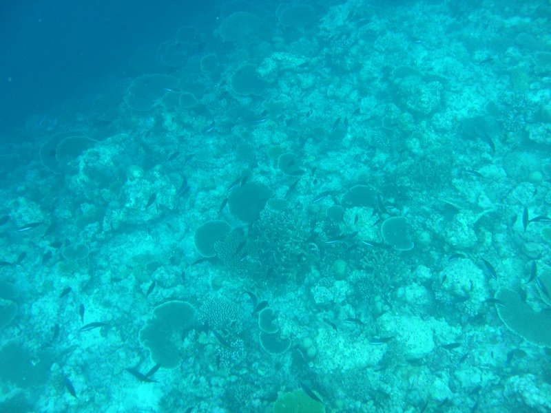 Image SAM_0397.JPG