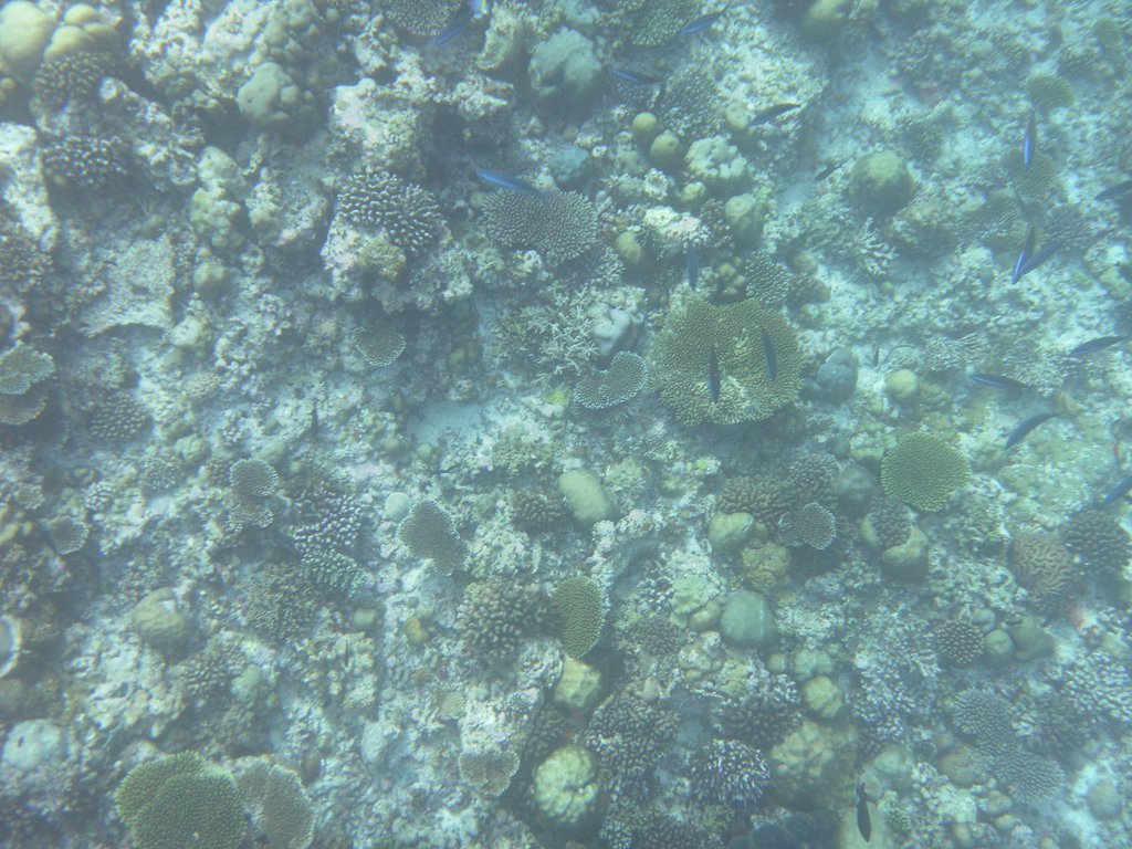 Image SAM_0399.JPG