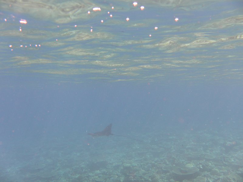 Image SAM_0402.JPG