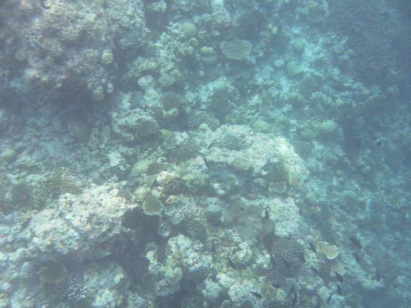 Image SAM_0404.JPG