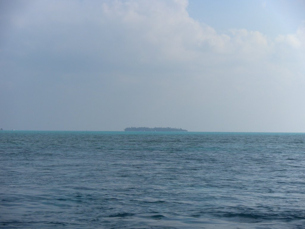 Image SAM_0406.JPG