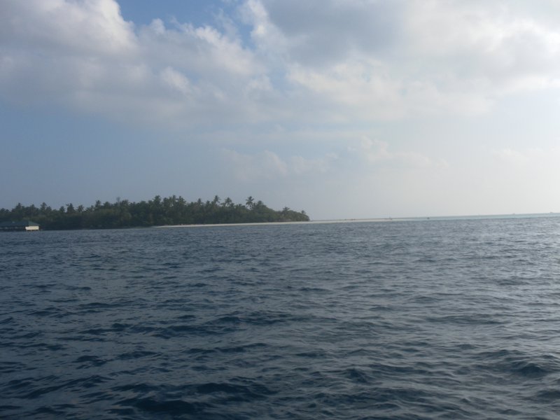 Image SAM_0407.JPG