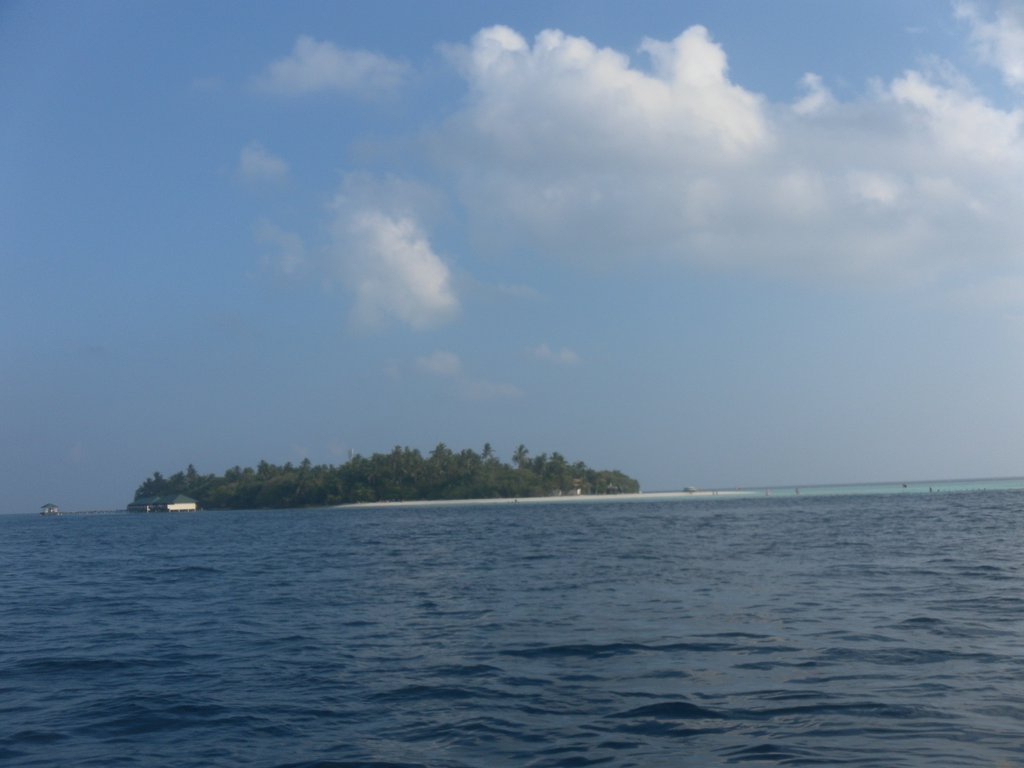 Image SAM_0411.JPG