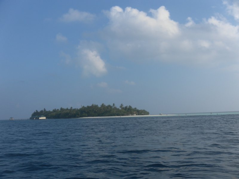 Image SAM_0411.JPG