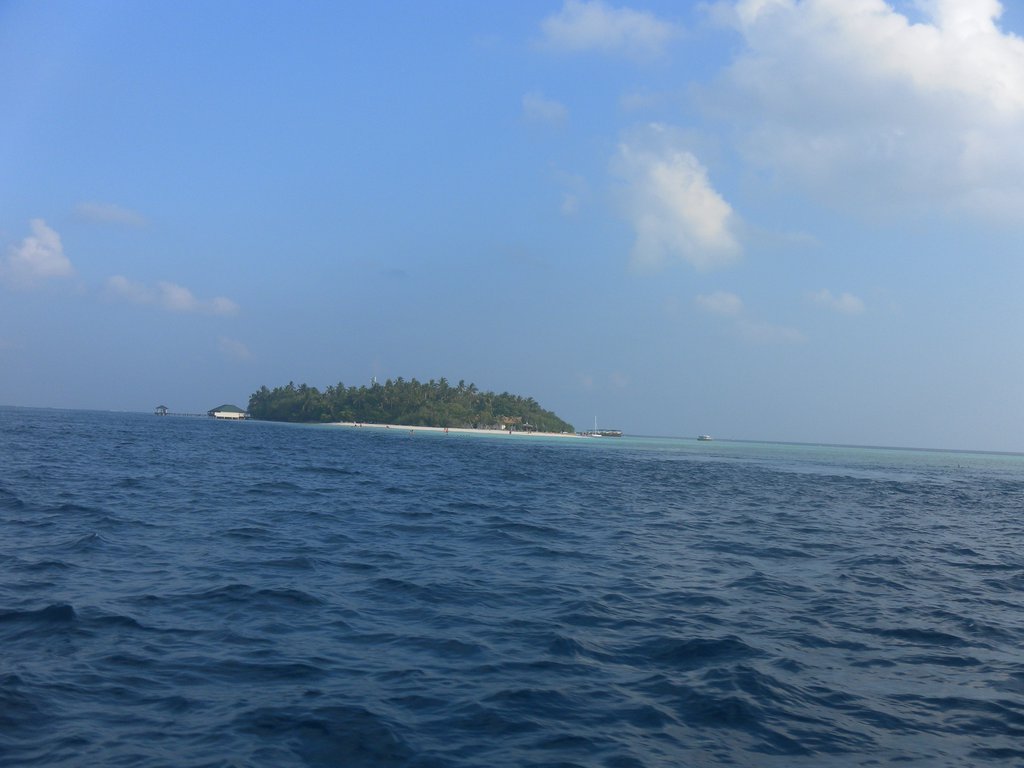 Image SAM_0412.JPG
