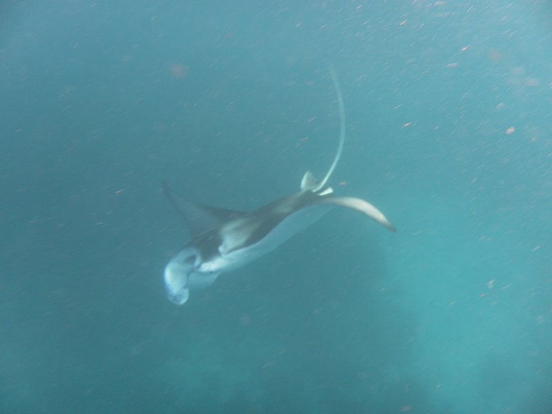Image SAM_0415.JPG