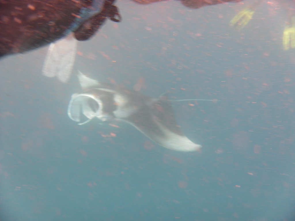 Image SAM_0417.JPG