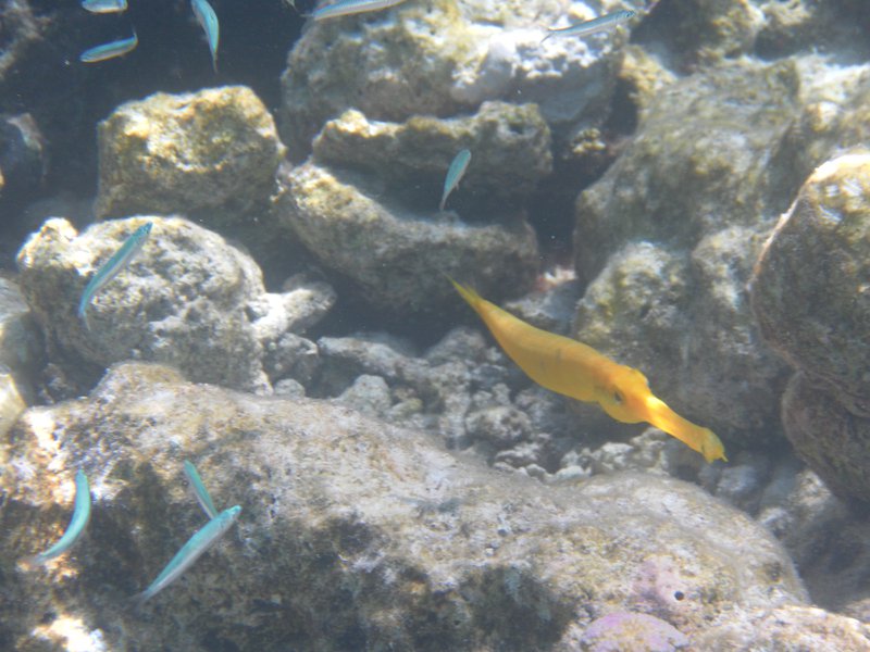 Image SAM_0478.JPG