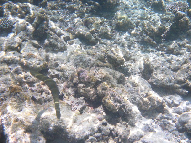 Image SAM_0482.JPG