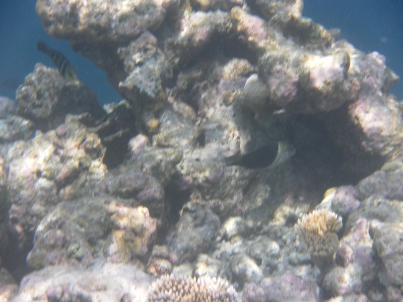 Image SAM_0508.JPG