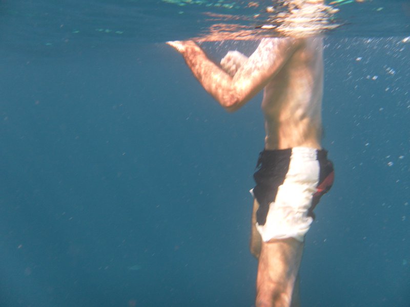 Image SAM_0512.JPG