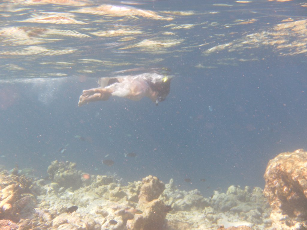Image SAM_0521.JPG