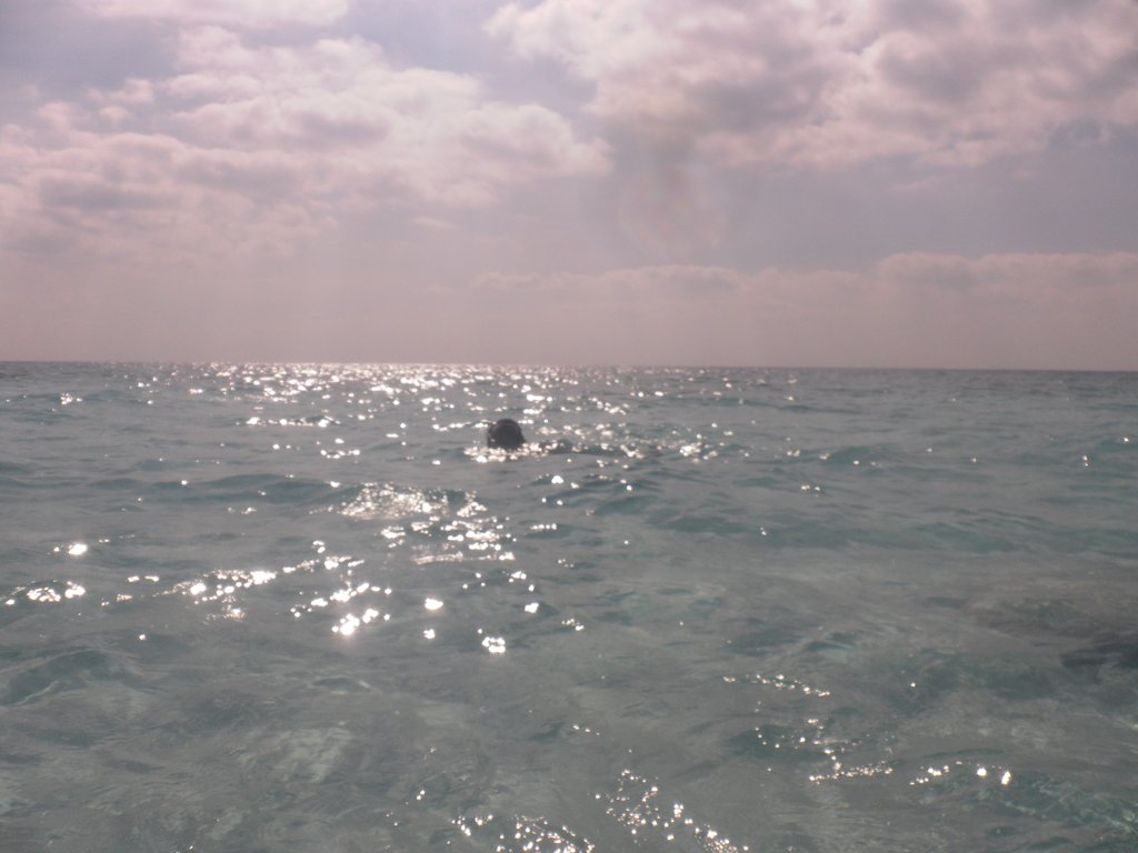 Image SAM_0536.JPG