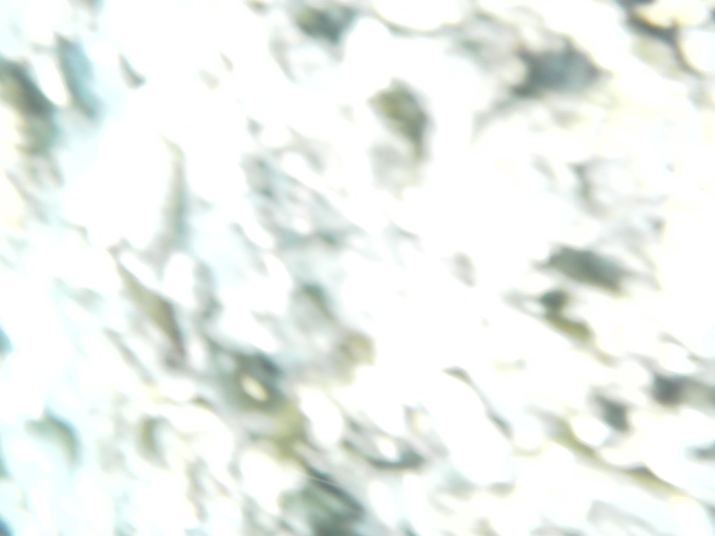 Image SAM_0590.JPG
