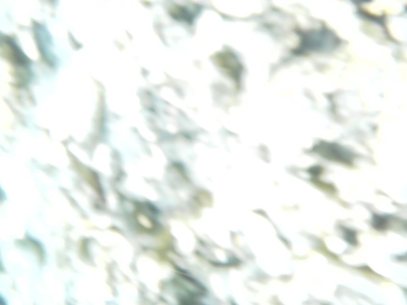 Image SAM_0590.JPG