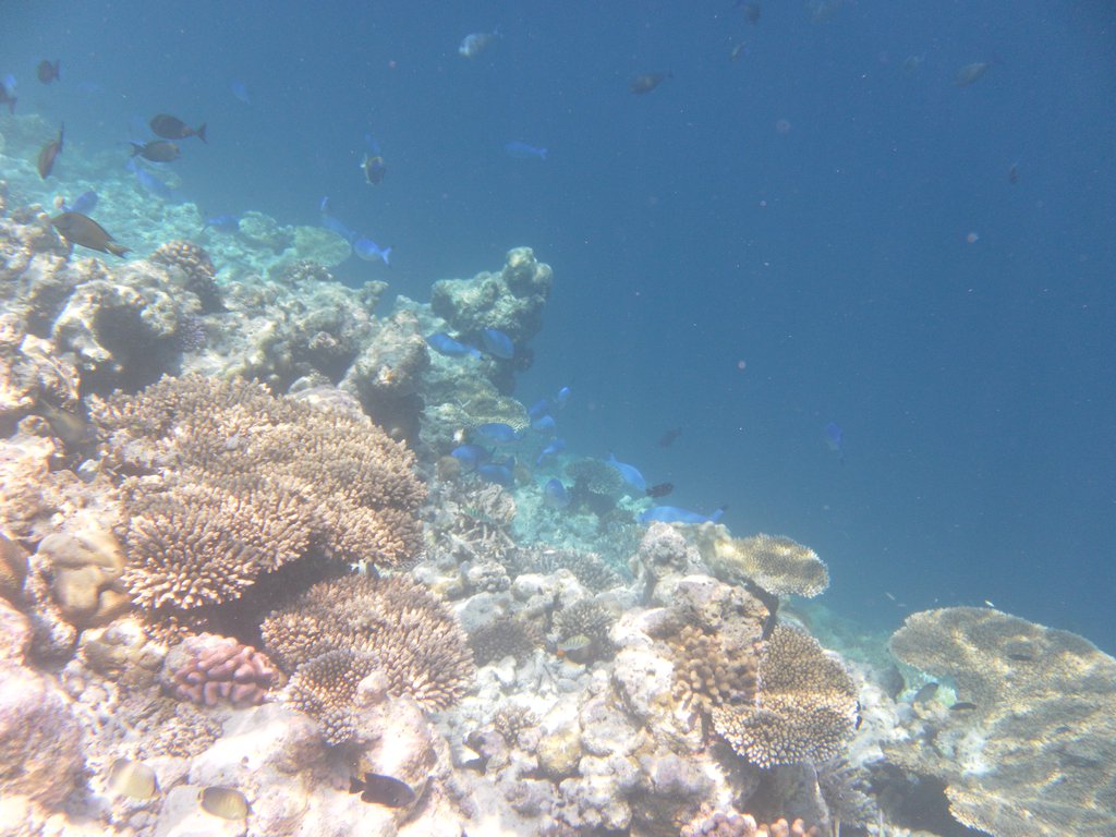 Image SAM_0611.JPG