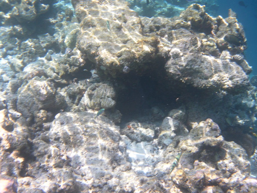 Image SAM_0618.JPG