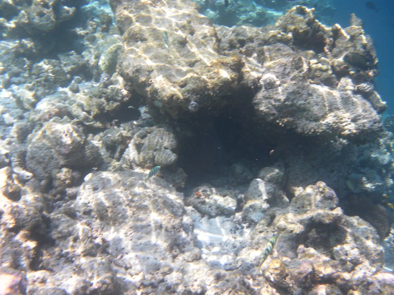 Image SAM_0618.JPG