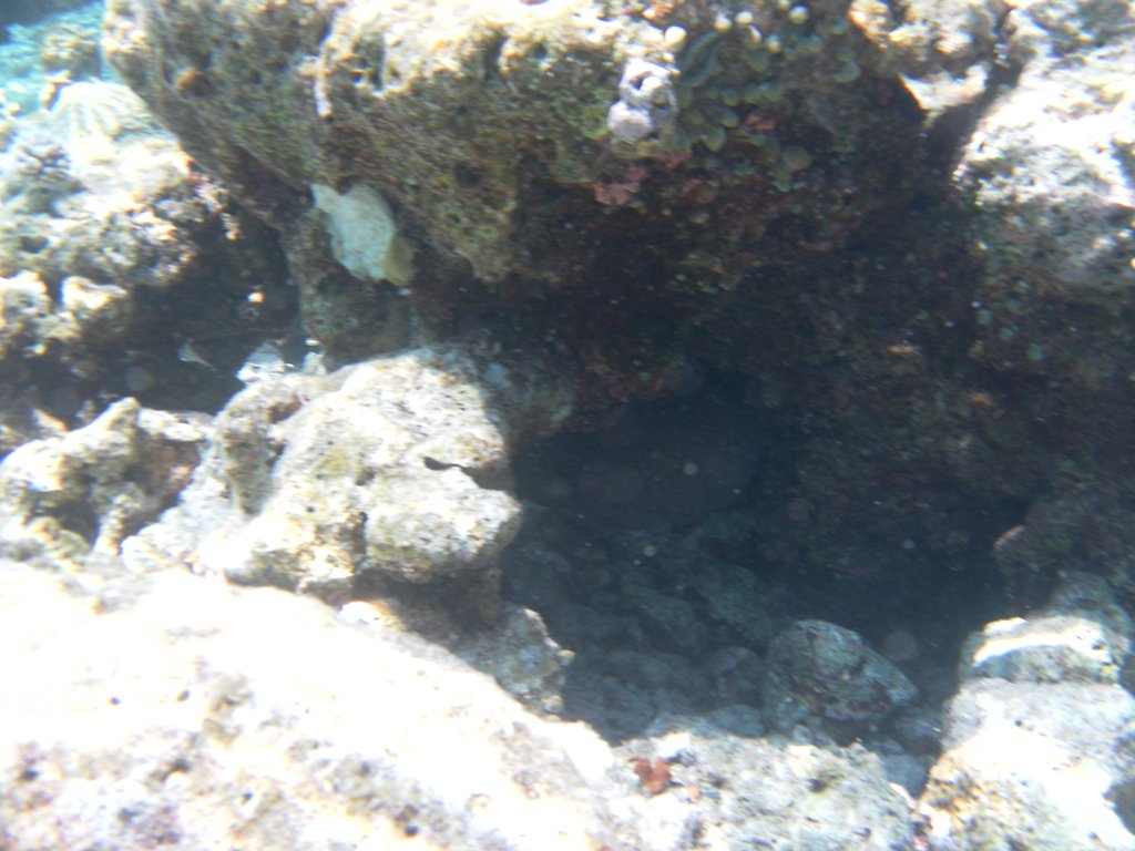 Image SAM_0621.JPG