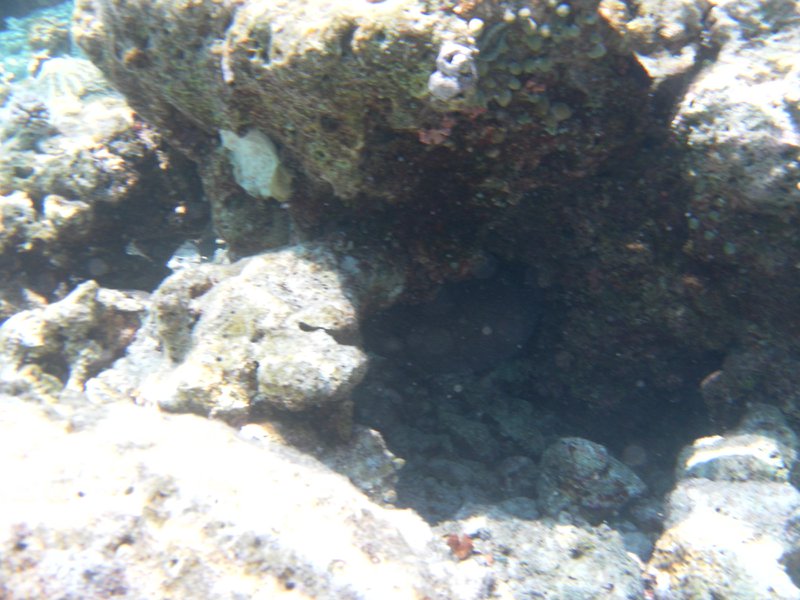 Image SAM_0621.JPG