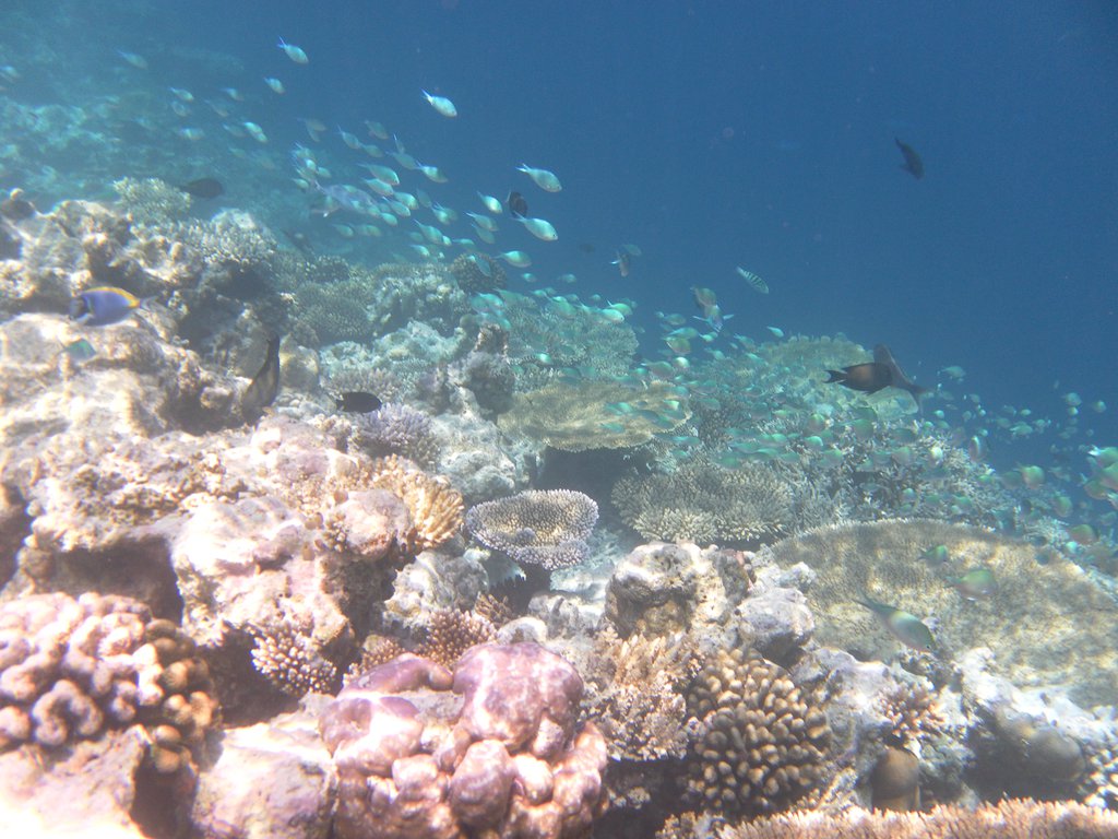 Image SAM_0623.JPG