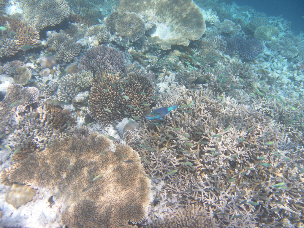Image SAM_0626.JPG