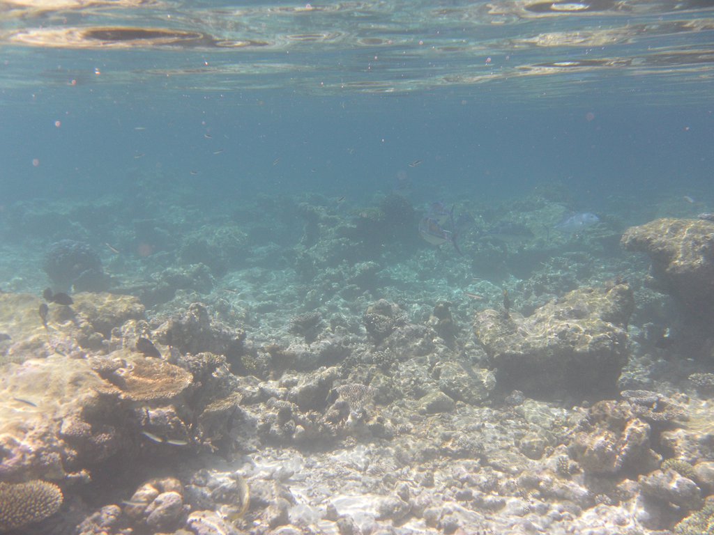 Image SAM_0634.JPG
