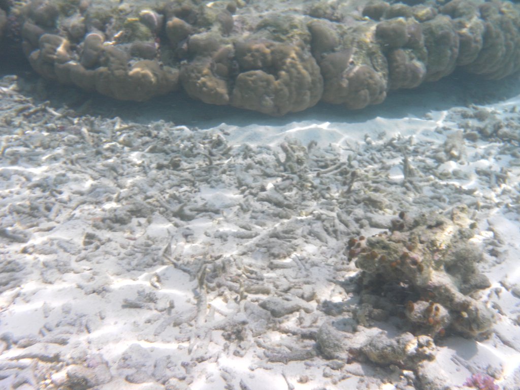 Image SAM_0646.JPG
