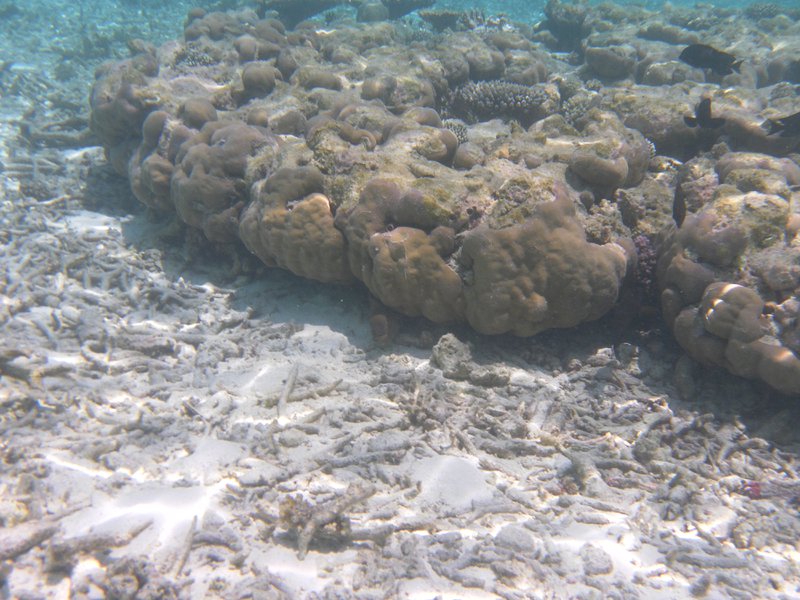 Image SAM_0647.JPG