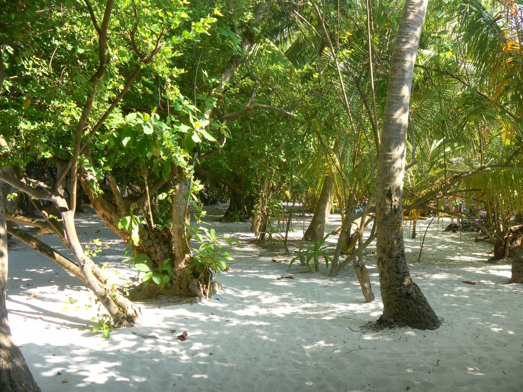 Image SAM_0672.JPG