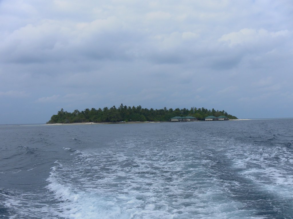 Image SAM_0702.JPG
