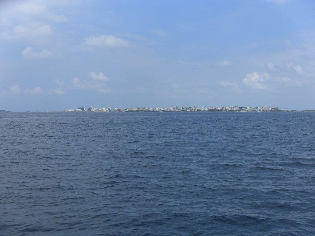 Image SAM_0706.JPG