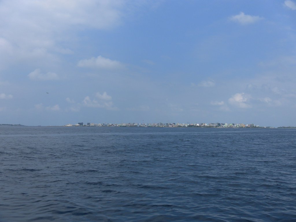 Image SAM_0707.JPG