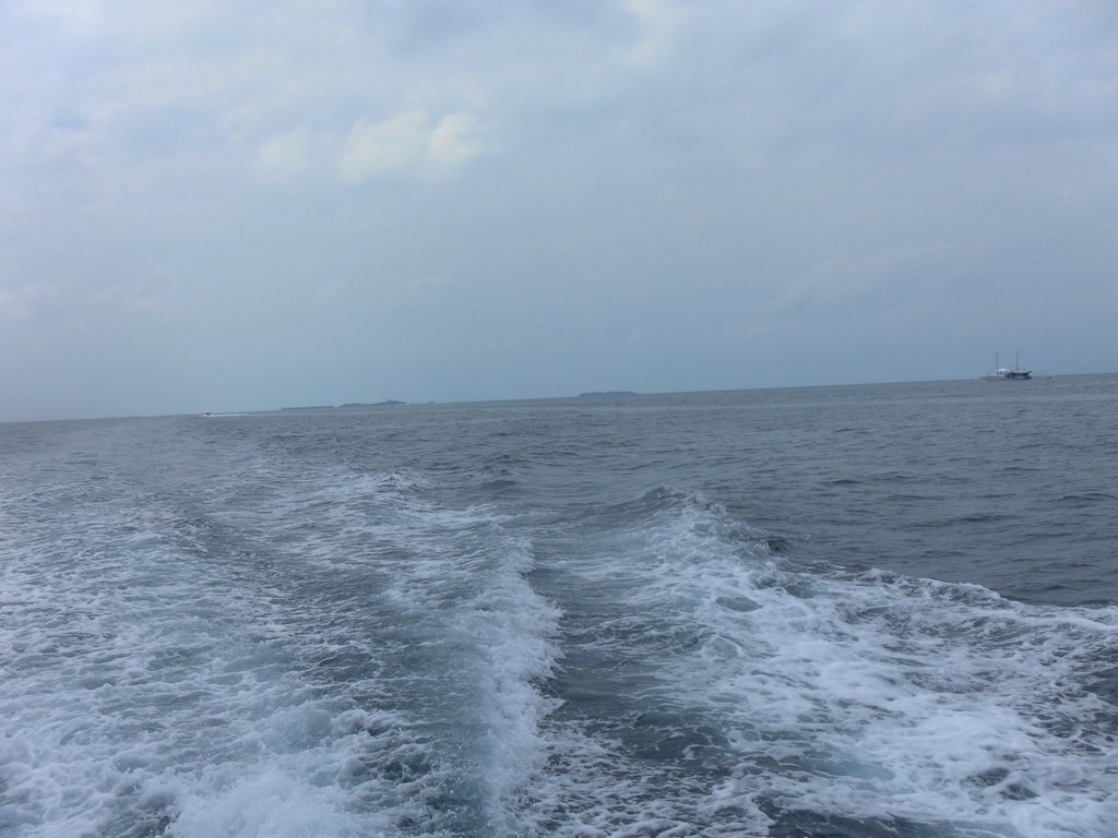 Image SAM_0708.JPG