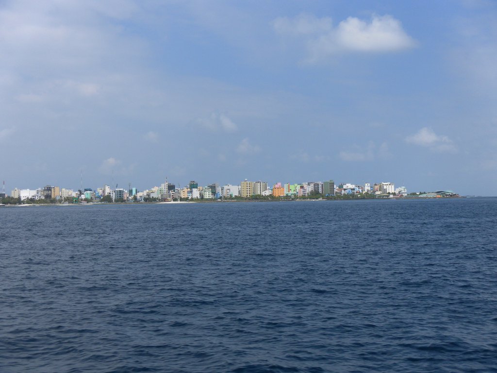 Image SAM_0710.JPG